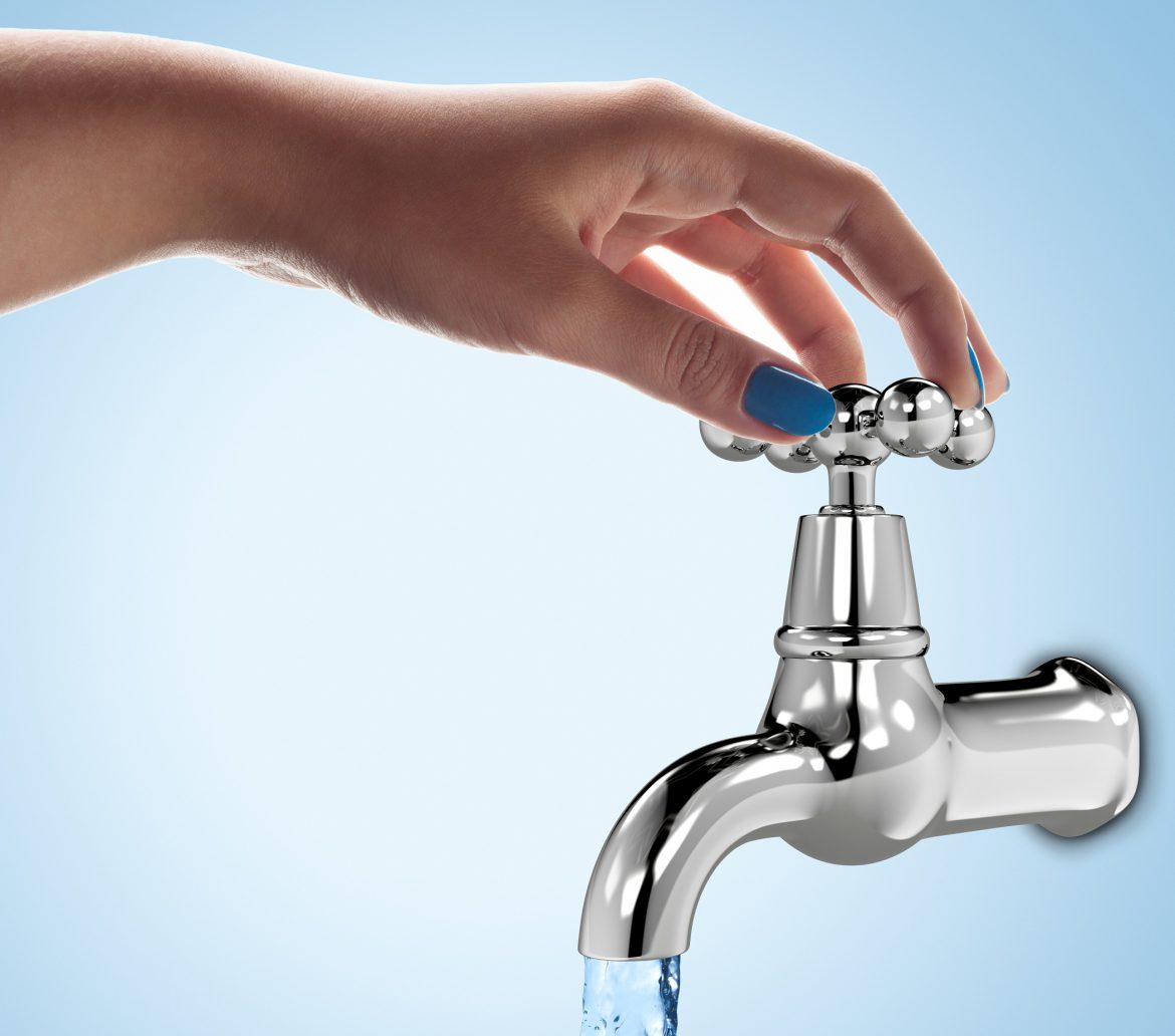 7 consejos para ahorrar agua al regar tus plantas