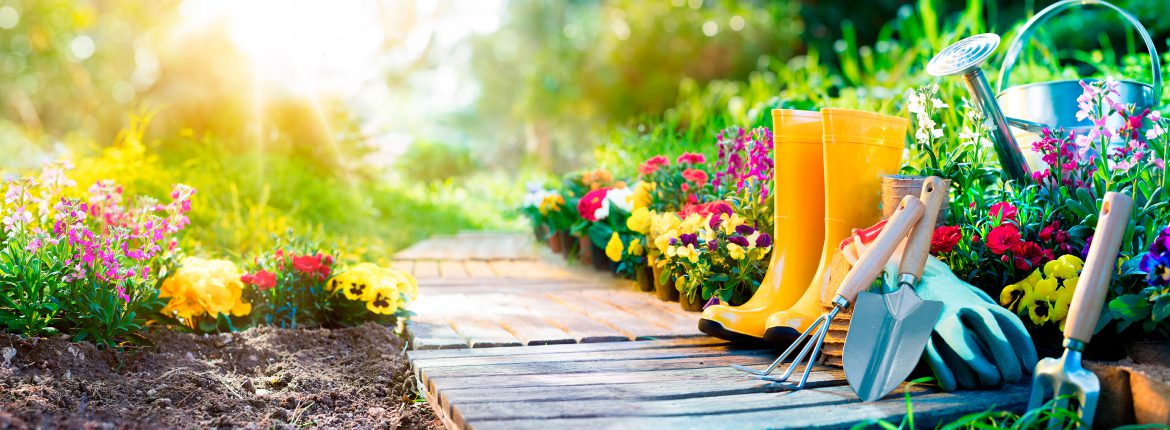 7 tips para tener un lindo jardín sin gastar una fortuna